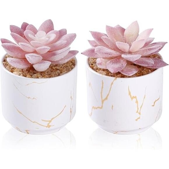 Artificial Plants and Succulents in 2 White Ceramic Pots,Small Fake Plants - Picture 7 of 7